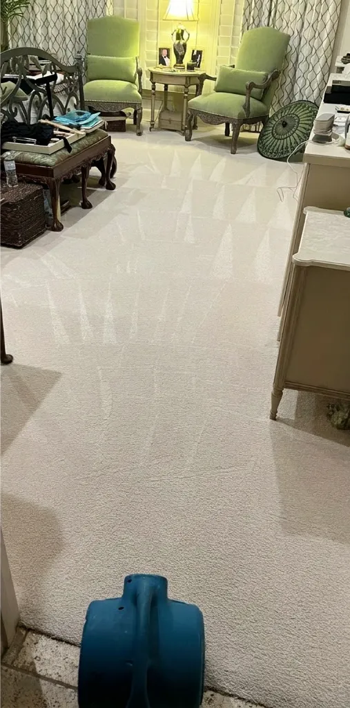 After: Deep Carpet Cleaning