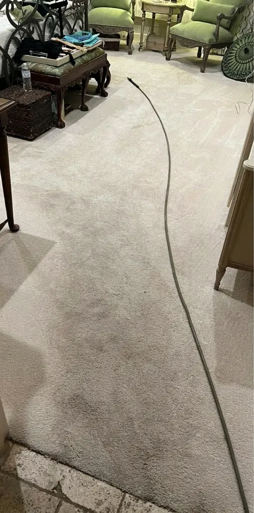 Before: Deep Carpet Cleaning